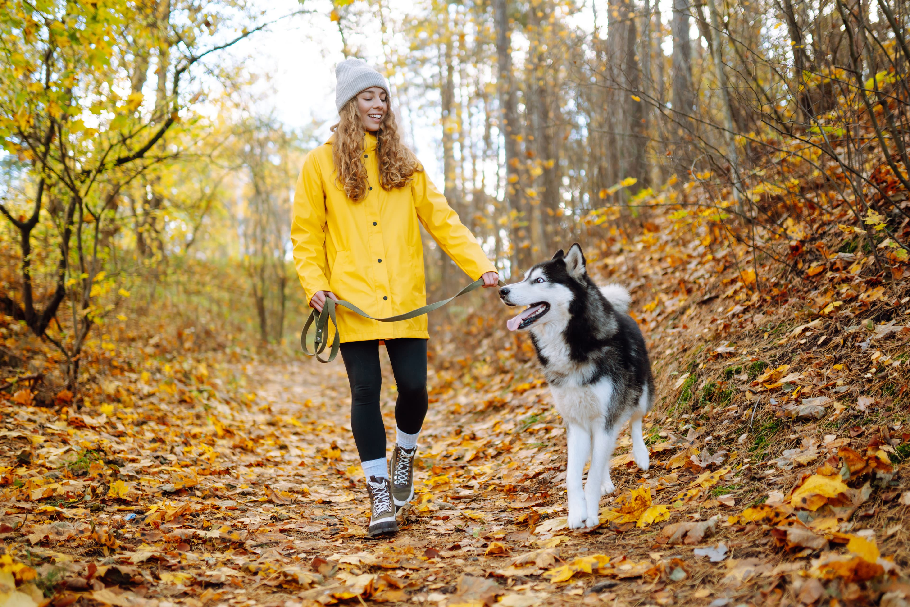 Two people walking a happy dog together
