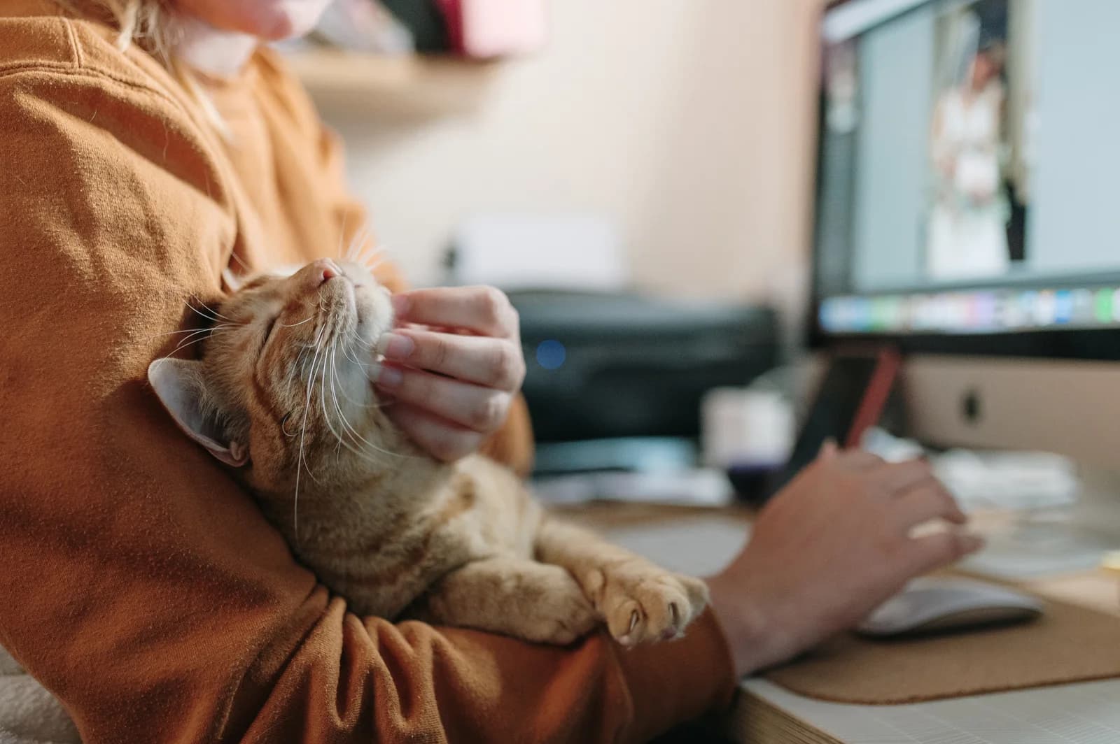 Pet Friend providing gentle care during a visit