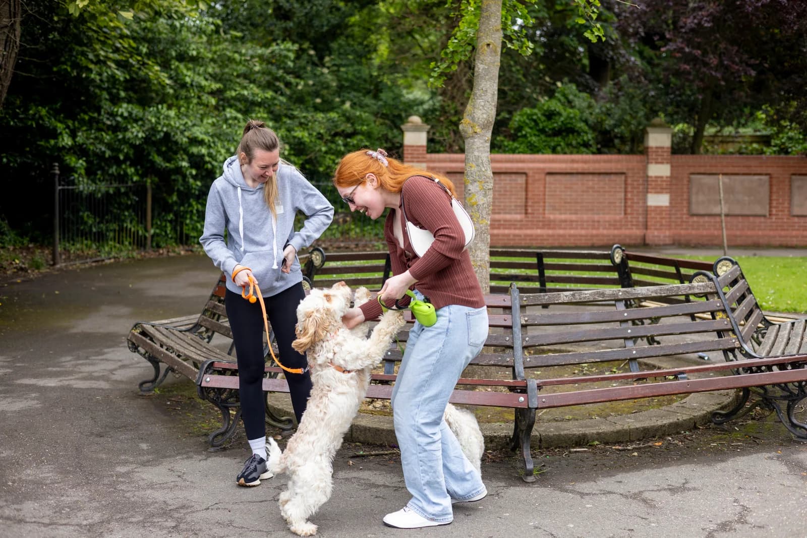 Pet Friend out walking with a happy dog