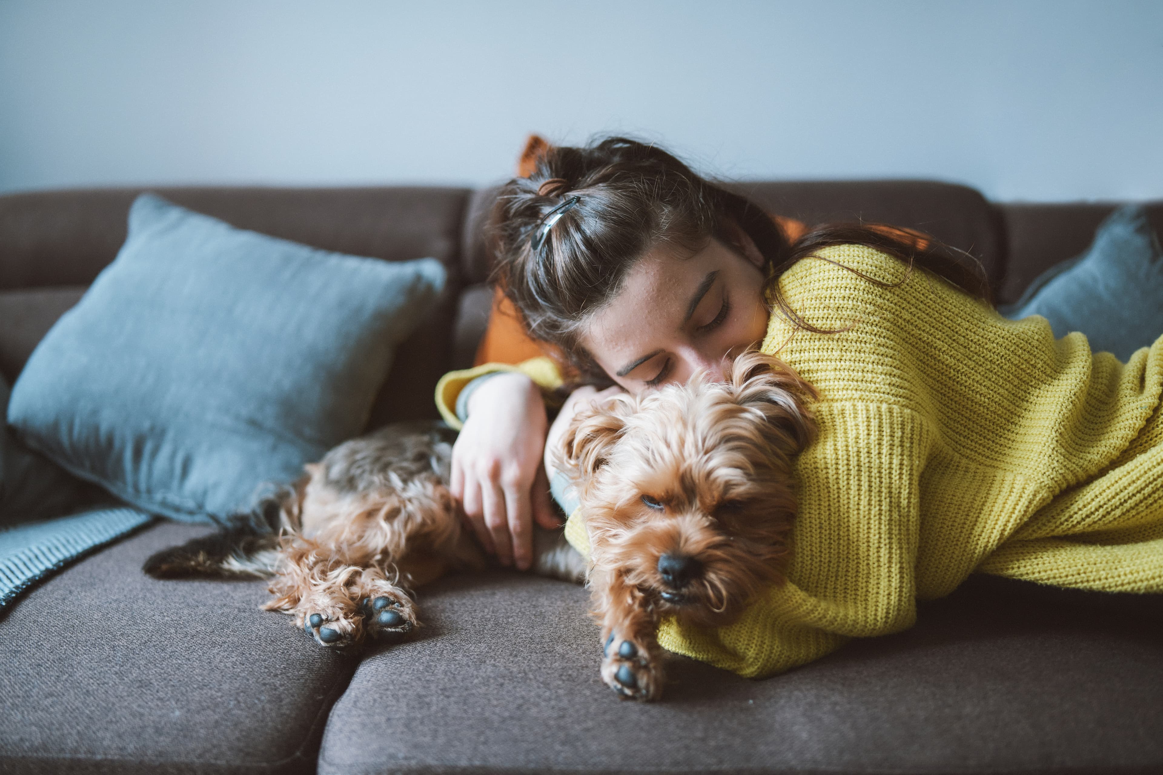 Person offering comfort to a pet that may be feeling homesick