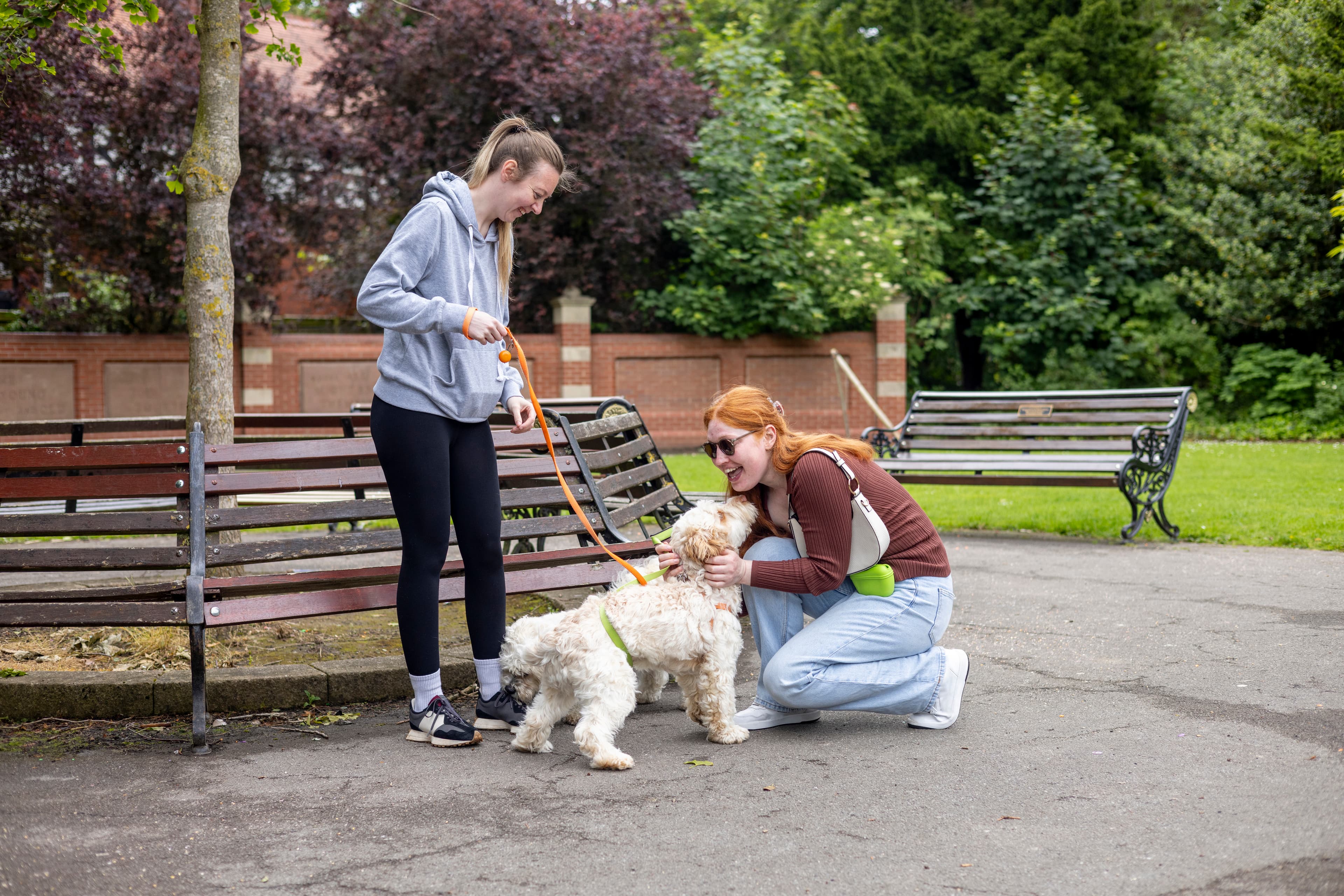 Woman greeting and meeting a dog during a calm introduction